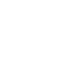 Conference Presentation